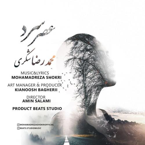 دانلود آهنگ عصر سرد